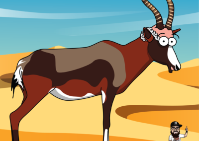 Blesbok